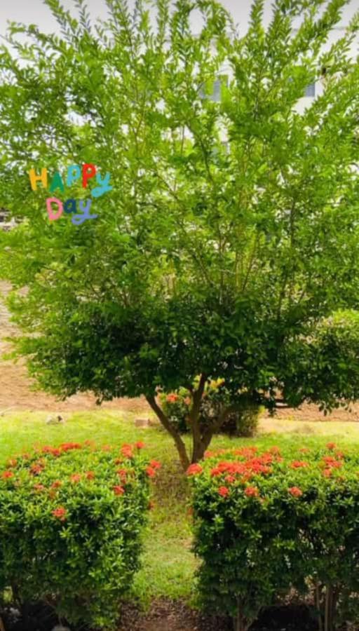 Apartamento, Zona Leste, Otima Localizacao. تيريسينا المظهر الخارجي الصورة